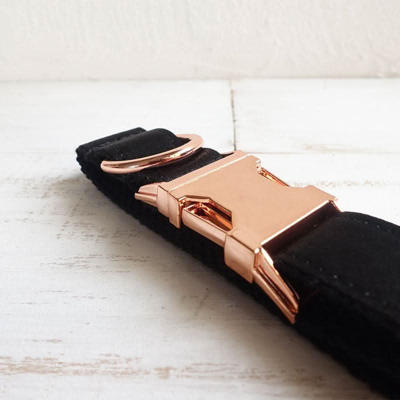 Midnight Shadow Dog Collar by Dog Hugs Cat