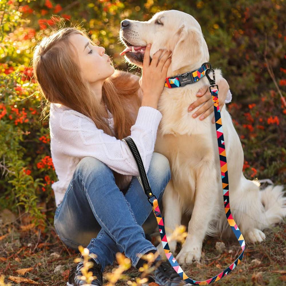 Personalized Pet Id Dog Collar With Customizable Dog Tag by Dog Hugs Cat
