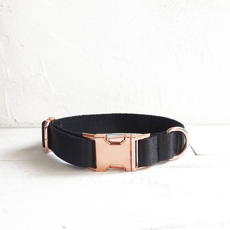 Midnight Shadow Dog Collar by Dog Hugs Cat