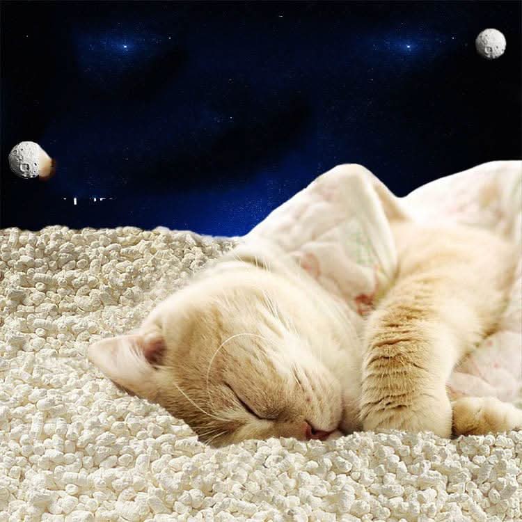 Tofu Fresh Scented Space Litter by Dog Hugs Cat