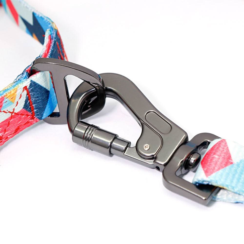 Personalized Pet Id Dog Collar With Customizable Dog Tag by Dog Hugs Cat