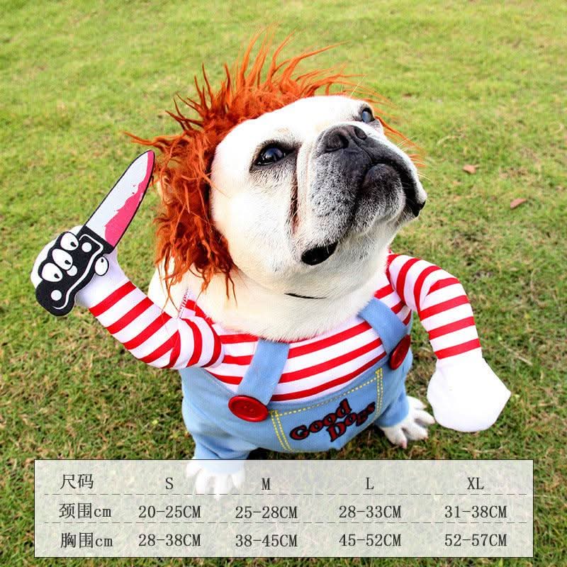 Funny Halloween Pet Costume: Dagger Pet Changing Clothes by Dog Hugs Cat