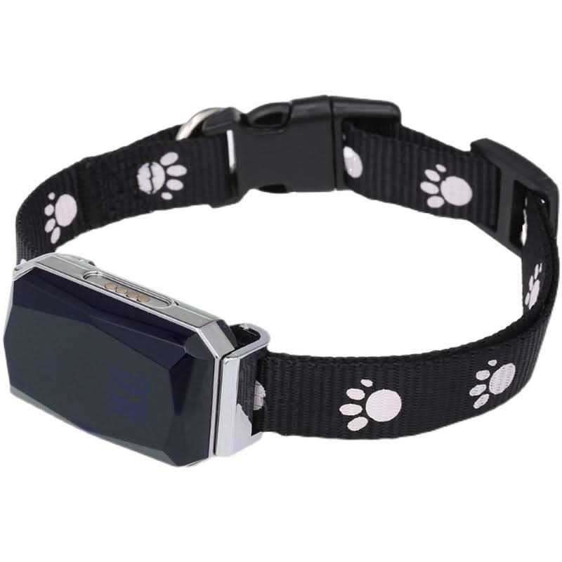 Intelligent Pet Tracker: The Ultimate Anti-Lost Gps Collar For Pets by Dog Hugs Cat