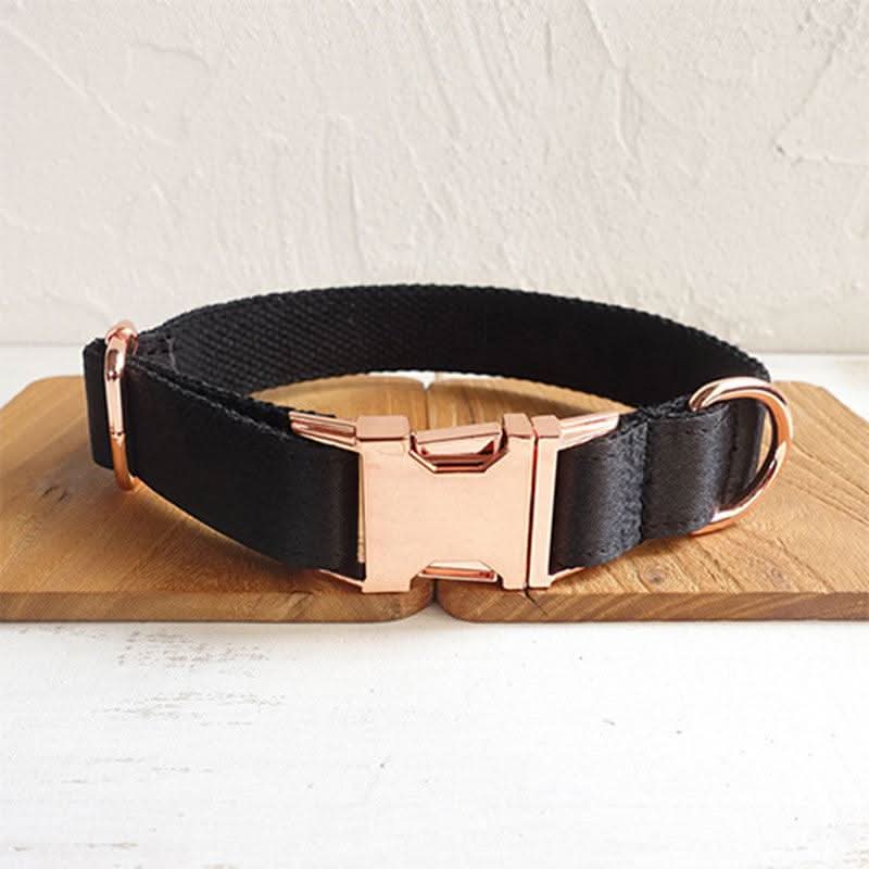 Midnight Shadow Dog Collar by Dog Hugs Cat