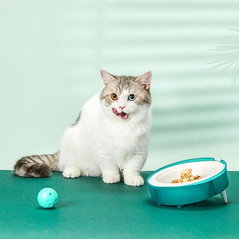 Replaceable Eco-Friendly Cat And Dog Food Bowl Set - The Freshfeed by Dog Hugs Cat