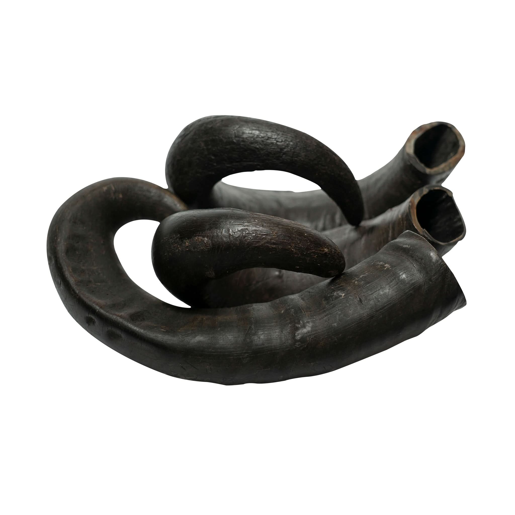 T-Rex Elk Antler Chew by Maxthat1Mastiff