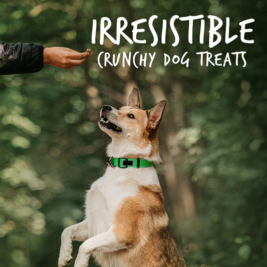 Fruitables Pumpkin & Apple Mix Dog Treats (8x7 Oz)