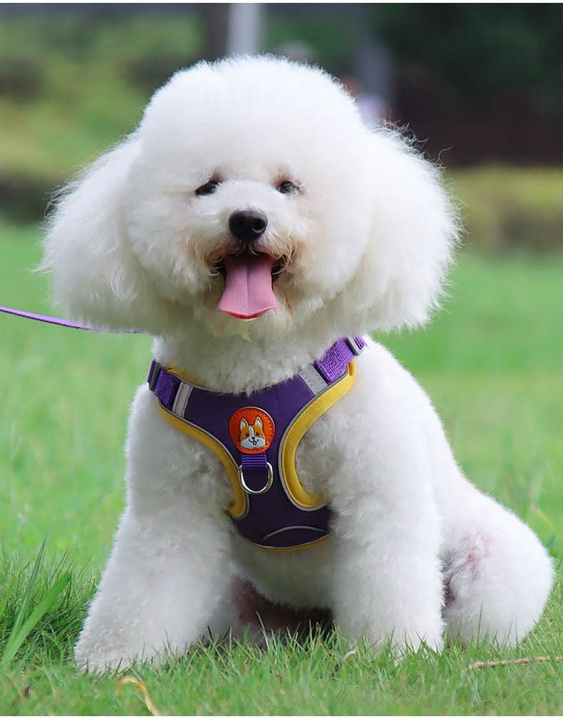 Ultimate Comfort And Safety Pet Harness Set by Dog Hugs Cat