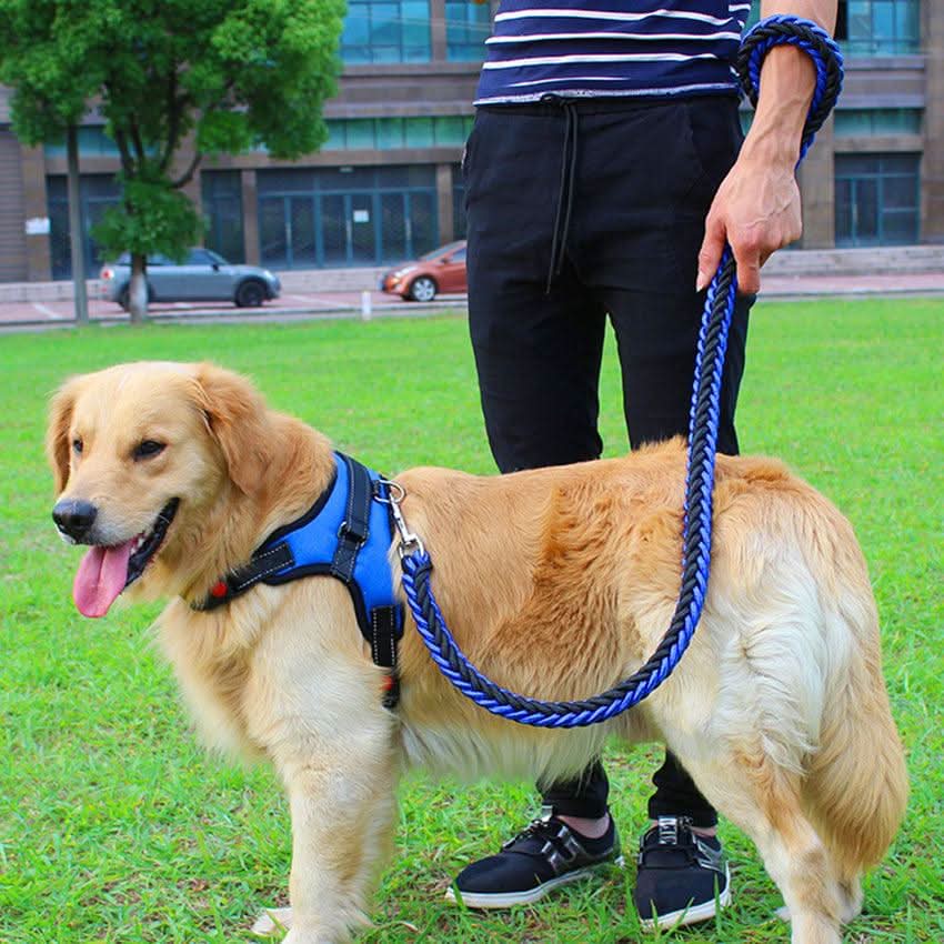 Ultimate Comfort Dog Harness by Dog Hugs Cat