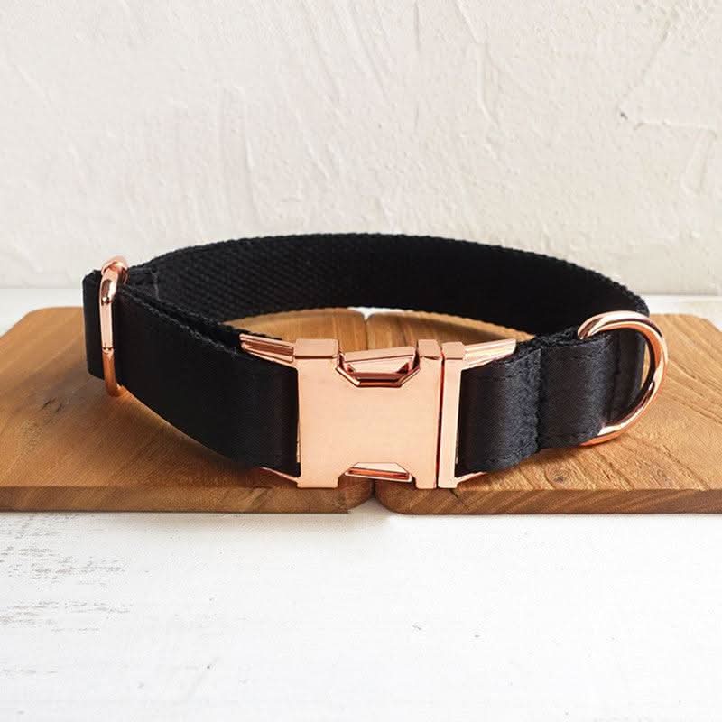 Midnight Shadow Dog Collar by Dog Hugs Cat