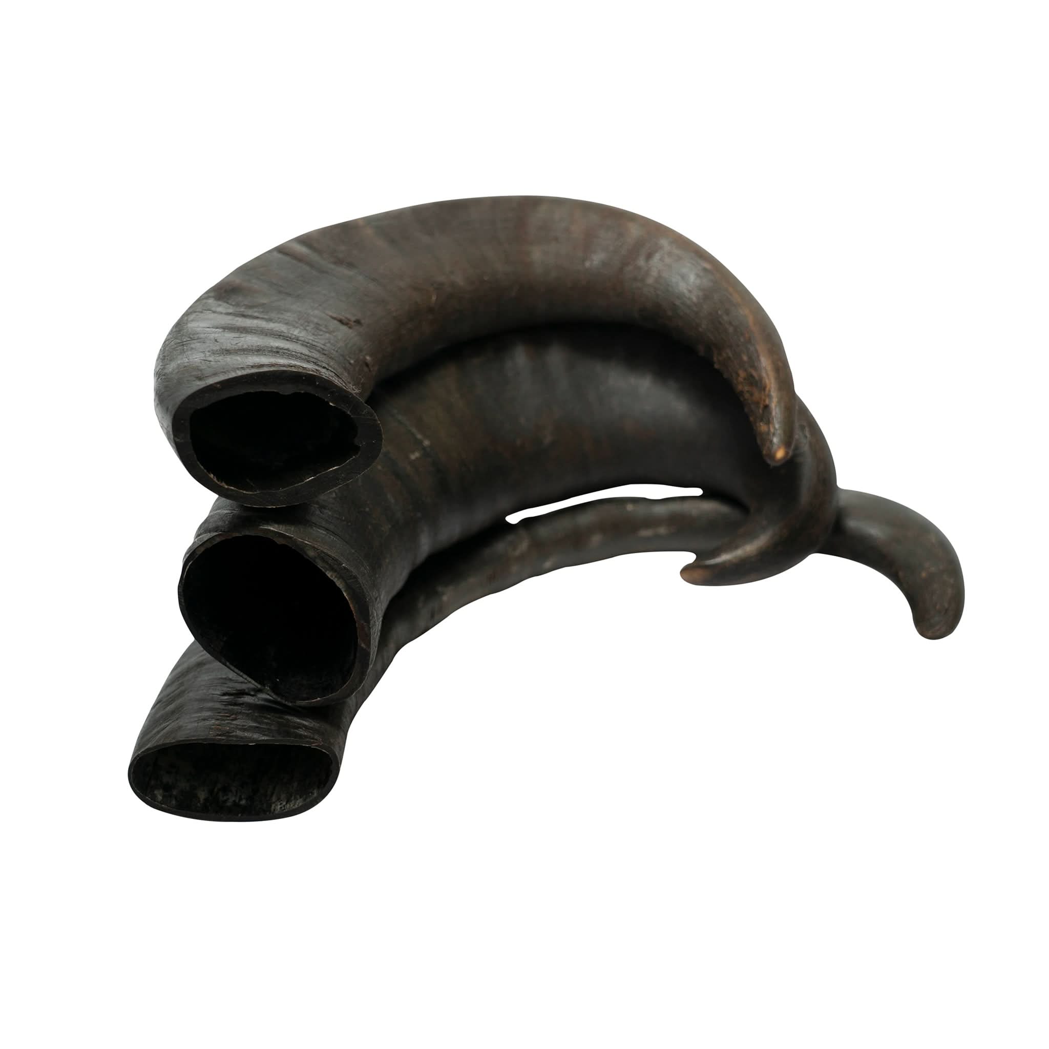 T-Rex Elk Antler Chew by Maxthat1Mastiff