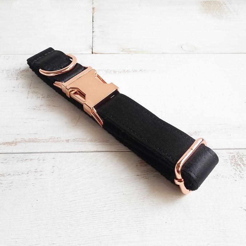 Midnight Shadow Dog Collar by Dog Hugs Cat