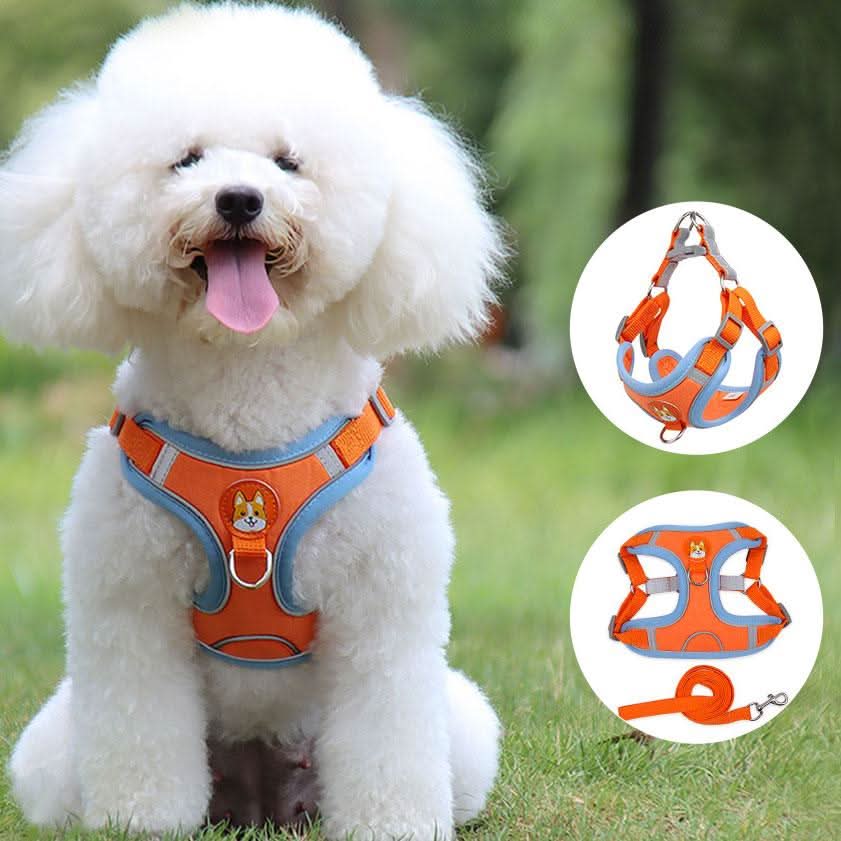 Ultimate Comfort And Safety Pet Harness Set by Dog Hugs Cat