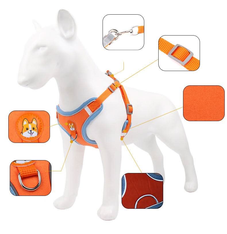 Ultimate Comfort And Safety Pet Harness Set by Dog Hugs Cat