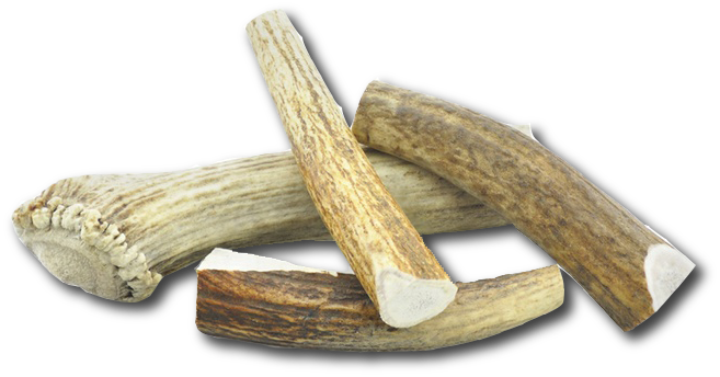 Large Elk Chew by Jagerhund