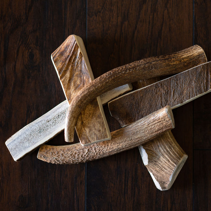 T-Rex Elk Antler Chew