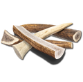 Small Elk Chew: single elk antler piece for dogs 10–20 lbs; ideal hard chew for Beagle, Boston Terrier.