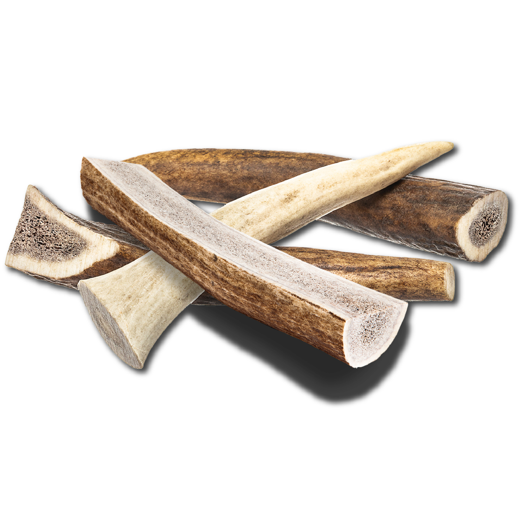 Small Elk Chew: single elk antler piece for dogs 10–20 lbs; ideal hard chew for Beagle, Boston Terrier.