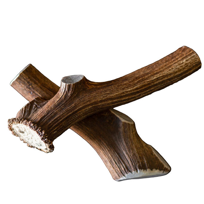 T-Rex Elk Antler Chew by Maxthat1Mastiff