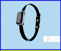 Intelligent Pet Tracker: The Ultimate Anti-Lost Gps Collar For Pets by Dog Hugs Cat