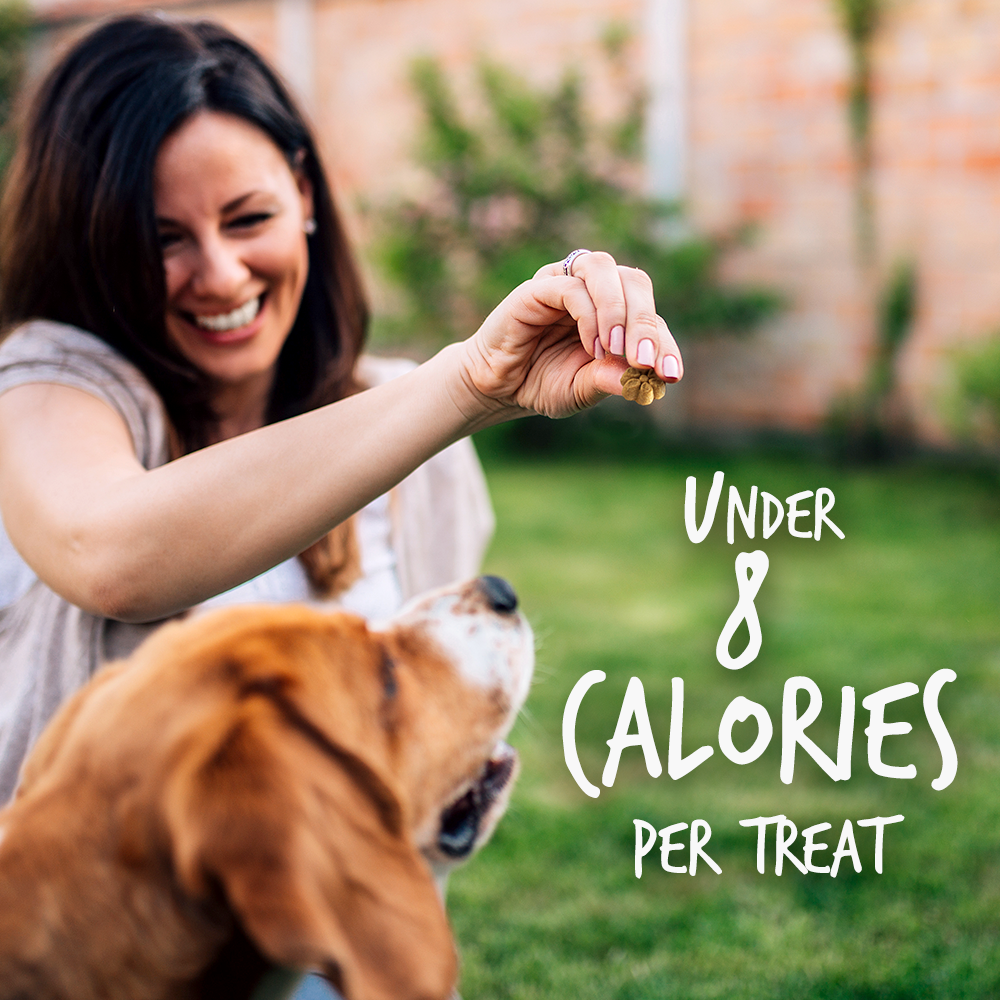 WELCOME ANIMAL FRIENDZ