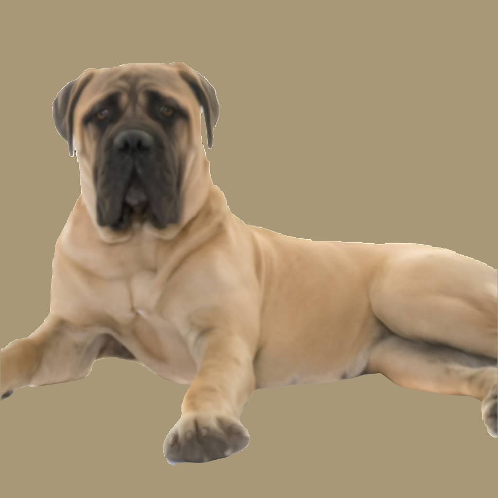 T-Rex Elk Antler Chew by Maxthat1Mastiff