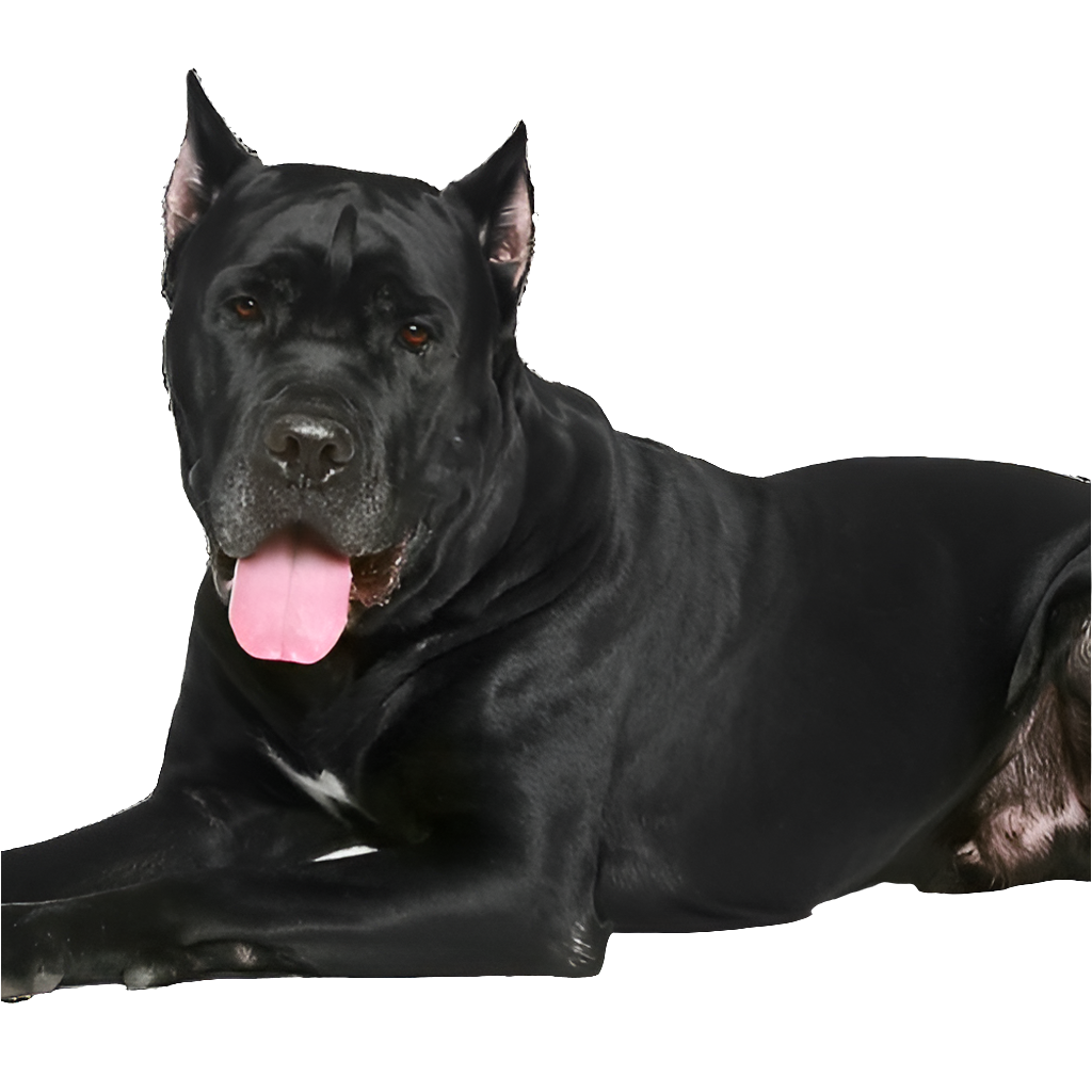 T-Rex Elk Antler Chew by Maxthat1Mastiff