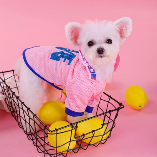 Breathable Mesh Hooded Dog Vest - Stylish Summer Shirt For Small Dogs by Dog Hugs Cat