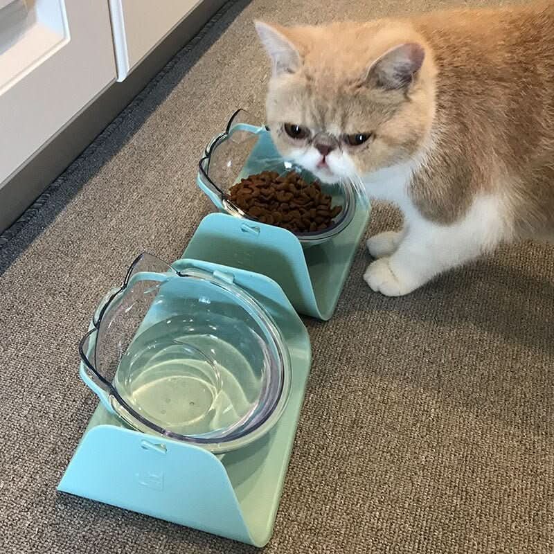 Cat Bowls Dogs Feeders Cats Feeding Bowl With Raised Stand For Cats Double Bowl Cats Food Bowls Water Bowls Pet Supplies by Vimost Shop