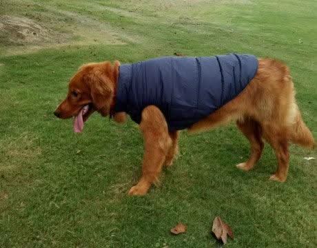 Cozycanine Waterproof Pet Jacket: Stylish Outdoor Attire For Your Furry Friend by Dog Hugs Cat