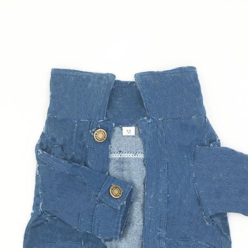 Denim Dog Sweater: Stylish And Cozy Pet Apparel by Dog Hugs Cat