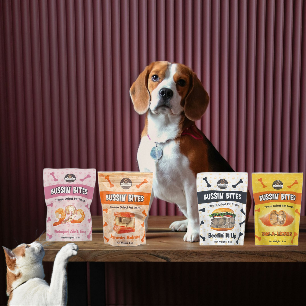 Freeze Dried Dog & Cat Treats – Single Ingredient, High Protein, Grain Free | Natural Cat & Dog Training Snacks, Human-Grade Shrimp by My Store